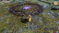 Return to the Brusque Loporrit