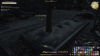 Hide behind the tree