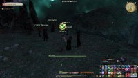 Speak with Alisaie.