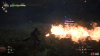 A favorite attack of !Belphegor is its Flame Breath attack where it will breathe out flames in a cone in front of itself.
