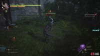 Defeat the Black Knights.