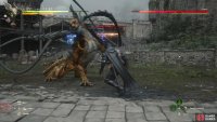 Attack the Coeurl during openings.