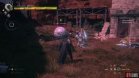 and deal with the Fallen !Echoes.