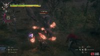 Find an Ogre and use !Will-o’-the-Wykes to absorb oopsie damage,