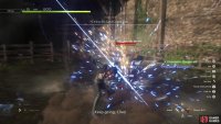 Dodge the Lord Commander’s attacks and retaliate - each hit will deplete his Will Gauge and eventually stagger him.