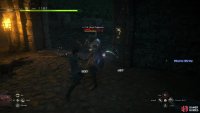 As you ascend the tower towards Benedikta, you’ll have to fight another Royal Tognvaldr.