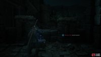 After the Royal Tognvaldr fight, loot a chest to score The Favor of Fire accessory.