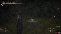 Defeat a Dragon !Aevis along The Old Road and plunder the chest it guarded,