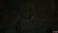 After defeating the Akashic Morbol you’ll find a fork in the path,