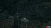 Along the southern edge of the western section of the swamp, find a hill you can ascend to locate a chest containing the Masamune.
