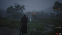 You’ll find a decent amount of rarer enemies in the marshes which provide more AP than weaker groups.