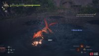 When you see the Morbol use Burrow, keep moving!