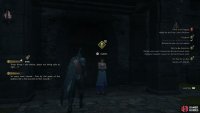 Speak with !Isabelle just outside !The Veil brothel.
