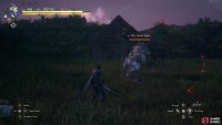 You can find a Gigas in Cressida, Rosaria.