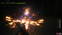 Attack enemies with fire so that Wade can finish them.