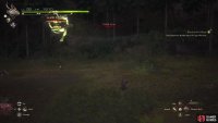 Noble Dive will see Dozamre rise high into the air