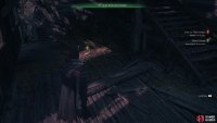 Pick up the Silver Feather inside of the ruined building.