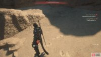 Grab the Stardust on the cliff.