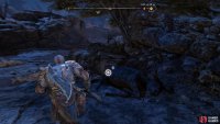 Interact with the dead animal to begin the favor.