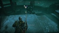 You will find the Soulblossom Flower next to the corpse on the other side.