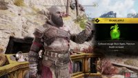 and you’ll unlock the Nornir chest.