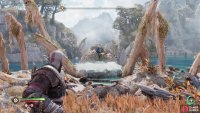 The third and final rune can be found along the western end of Dragon Beach.