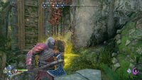 You will need to be careful of the spitting flower nearby