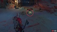 The Loot Lizard in The Burrows will remain burrowed, but you can spot a telltale sign that it’s burrowed nearby.