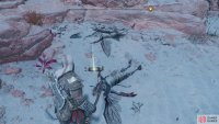 Grab the Treasure Map: Vulture’s Gold off the ground near some dead Dark Elves.