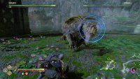 Watch out for the blue ringed attack
