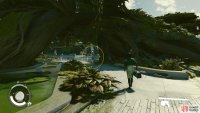 Find Kelton Frush under the giant tree near MAST District station