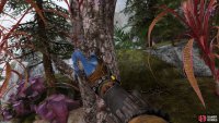 Once you’ve found a high-quality one, pull the branch to the left when breaking it off.