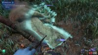 Inspect one of the dead animals to make Hunter Bravo appear.
