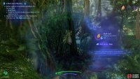 Use your Na’vi sense to highlight and inspect Shell Fruit on the tallest trees in Thorny Wilds biomes.