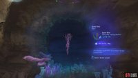 You will find some Spore Roots while going after the Dense Bones.