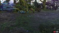 Look for the footprints on the northern side of the grove.
