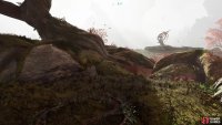 you will find the observation circle under a tree to the south of the Totem.