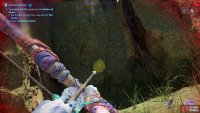 to find Exquisite Creeping Moss.