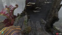 climb the fallen tree