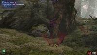 look for a large tree with an opening at the bottom