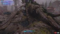 look for this fallen tree in the southwest of the sub-region