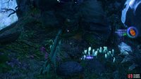 the Kami’tire Doll can be found inside.