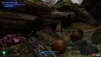a Kami’tire Doll can be found to the southeast of the RDA base.