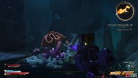 to find the Lucky Dice sitting inside some coral. 
