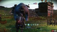 You can access the Companion Register from the Creatures tab of the quick access menu.