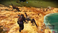 You’ll be able to offer food to any adoptable animals.