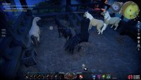 You’ll find at least 8 horses in the stables of the Horse Track, giving you a decent number of options early on.