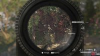 It hides a little in the foliage, but is still and easy shot.