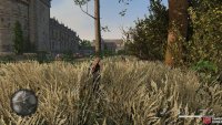 This Stone Eagle is dangerously close to the chateau and its guards