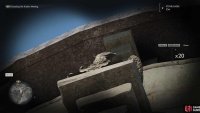 Zooming in with your binoculars will do the trick with this Stone Eagle.